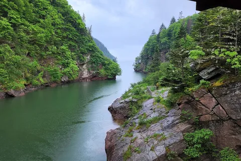 Fundy National Park Of Canada