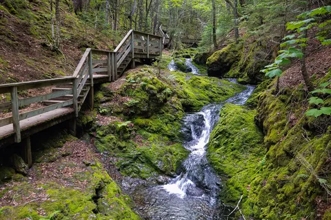 Fundy National Park Of Canada
