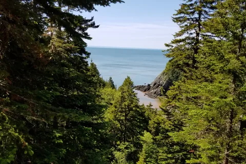 Fundy National Park Of Canada