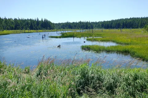 Fundy National Park Of Canada