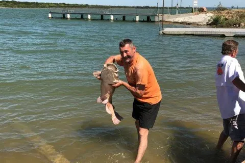 Beachcomber Park
