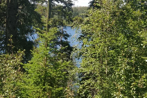Twin Lakes Provincial Recreational Area