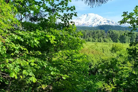 Elk Meadows RV Park