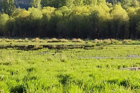 Elk Meadows RV Park