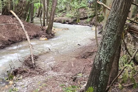 Herald Provincial Park