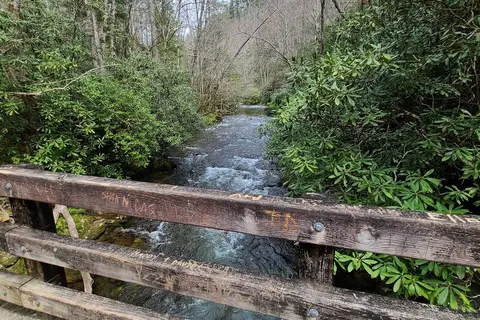 Deep Creek Campground - Great Smoky Mountains National Park