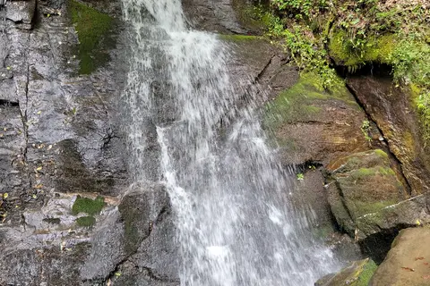 Deep Creek Campground - Great Smoky Mountains National Park