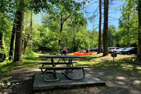 Deep Creek Campground - Great Smoky Mountains National Park