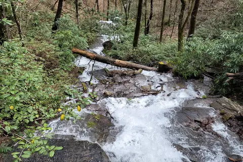Deep Creek Campground - Great Smoky Mountains National Park