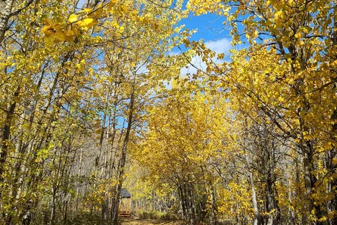 Conrad Campground