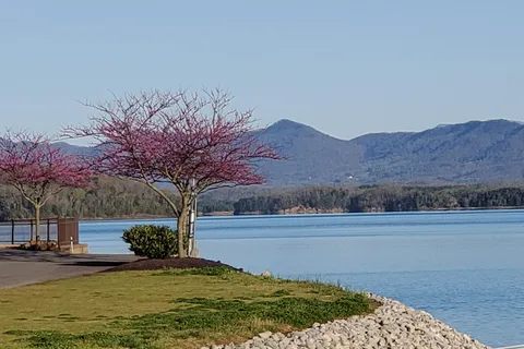 Anchor Down RV Resort