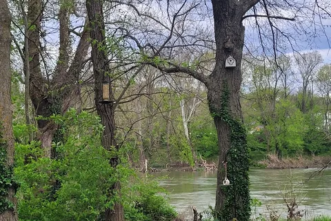 Twin Rivers RV Campground