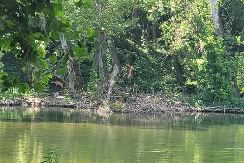 Twin Rivers RV Campground