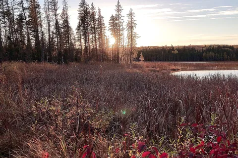 Namekus Campground - Prince Albert National Park