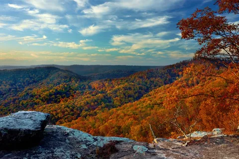 Branson Tree House Adventures and RV Park