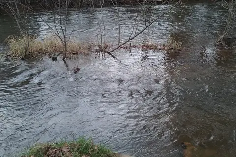 Brush Creek Campground