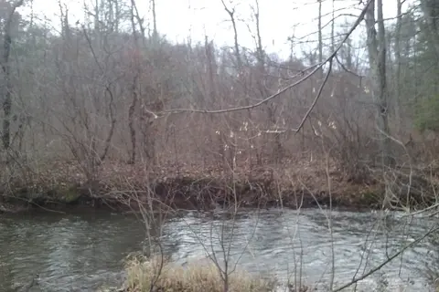 Brush Creek Campground