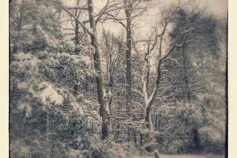 Brush Creek Campground
