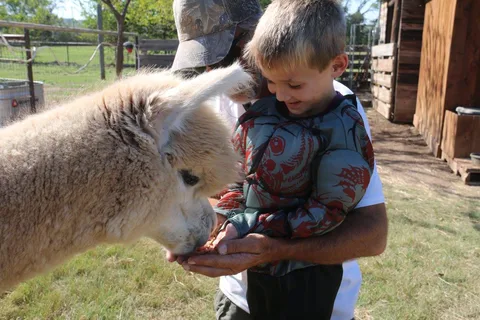 Wagon Master RV Park and Alpaca Farm