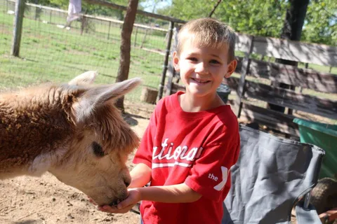 Wagon Master RV Park and Alpaca Farm