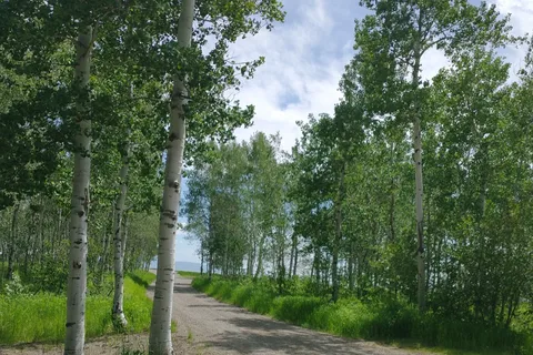 Aspen Acres Golf Club and RV Park