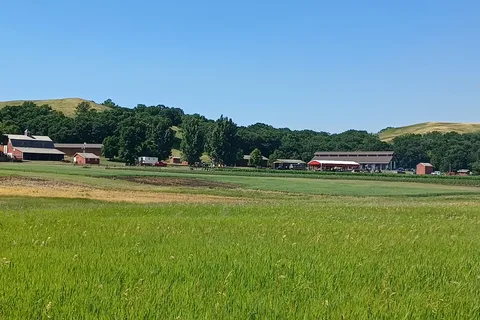 Westside - Fort Ransom State Park