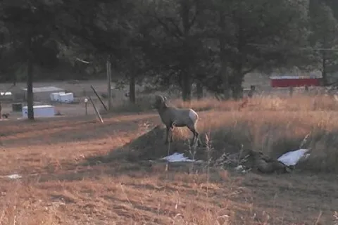 Three Forks Campground