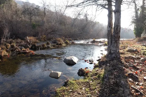 Sequoia RV Ranch