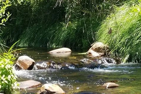Sequoia RV Ranch