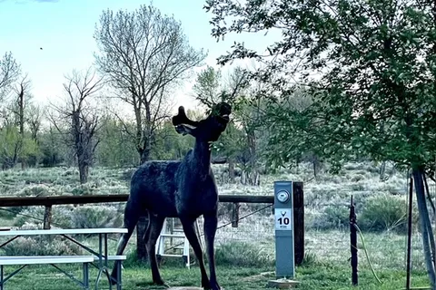 Deer Haven RV Park