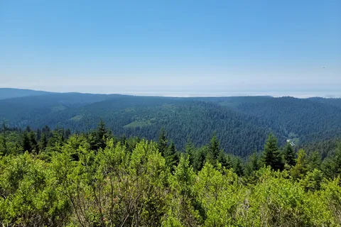 Parc national de Redwood