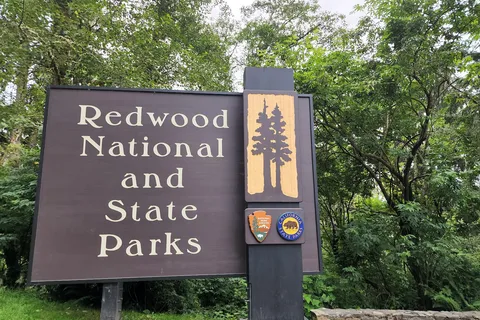 Parc national de Redwood