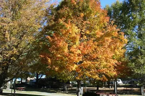Boone KOA Holiday