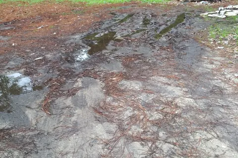 Lazy Lake RV Park