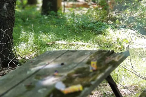 Woodland Campsites Inc