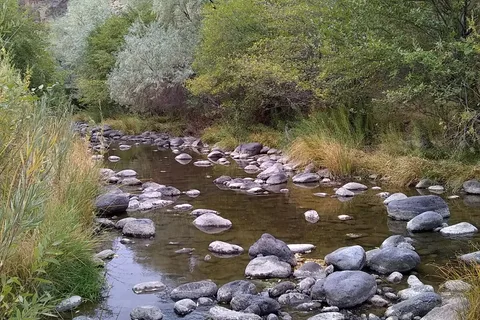 Succor Creek State Natural Area