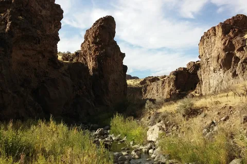 Succor Creek State Natural Area