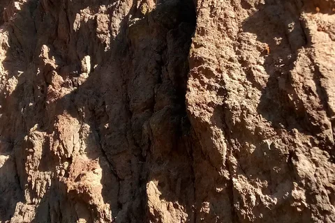 Succor Creek State Natural Area