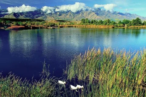 Safford RV Resort