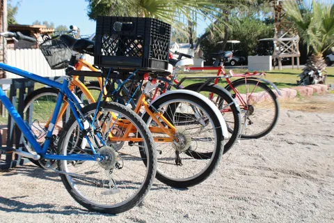 Rio Bend RV Resort Ranch