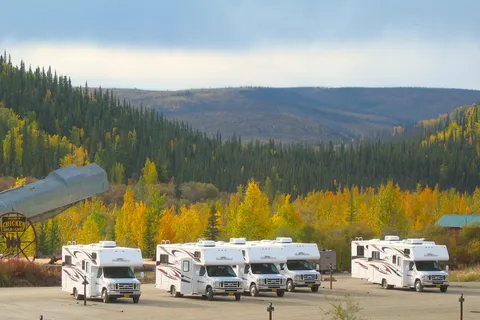 The Original Chicken Gold Camp