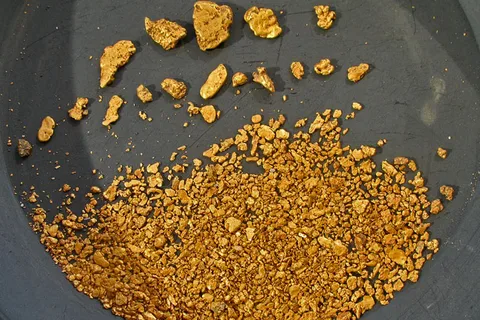 The Original Chicken Gold Camp