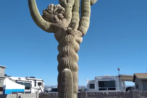 Arizonian RV Resort