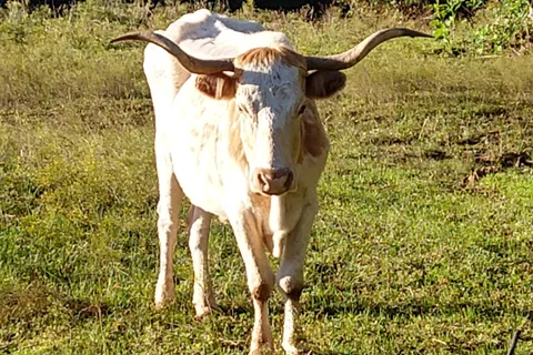 Texas 281 RV Park
