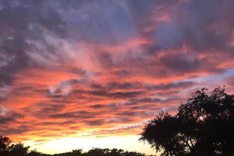 Aransas Bay RV Resort