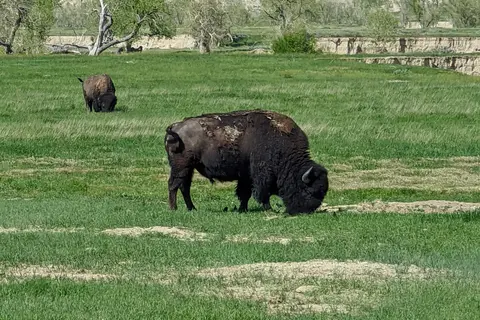 Sage Creek Campground - Badlands National Park