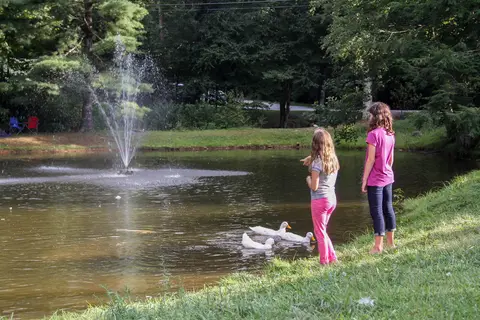 Honey Bear Campground