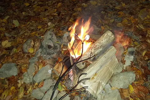 Honey Bear Campground