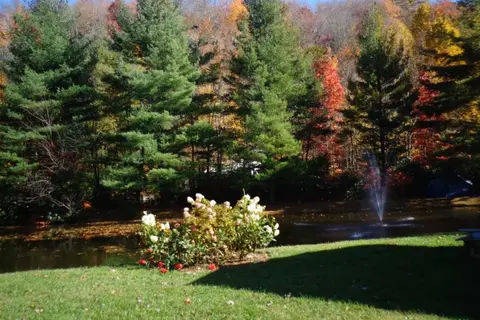 Honey Bear Campground