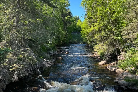 Camping Chutes Fraser
